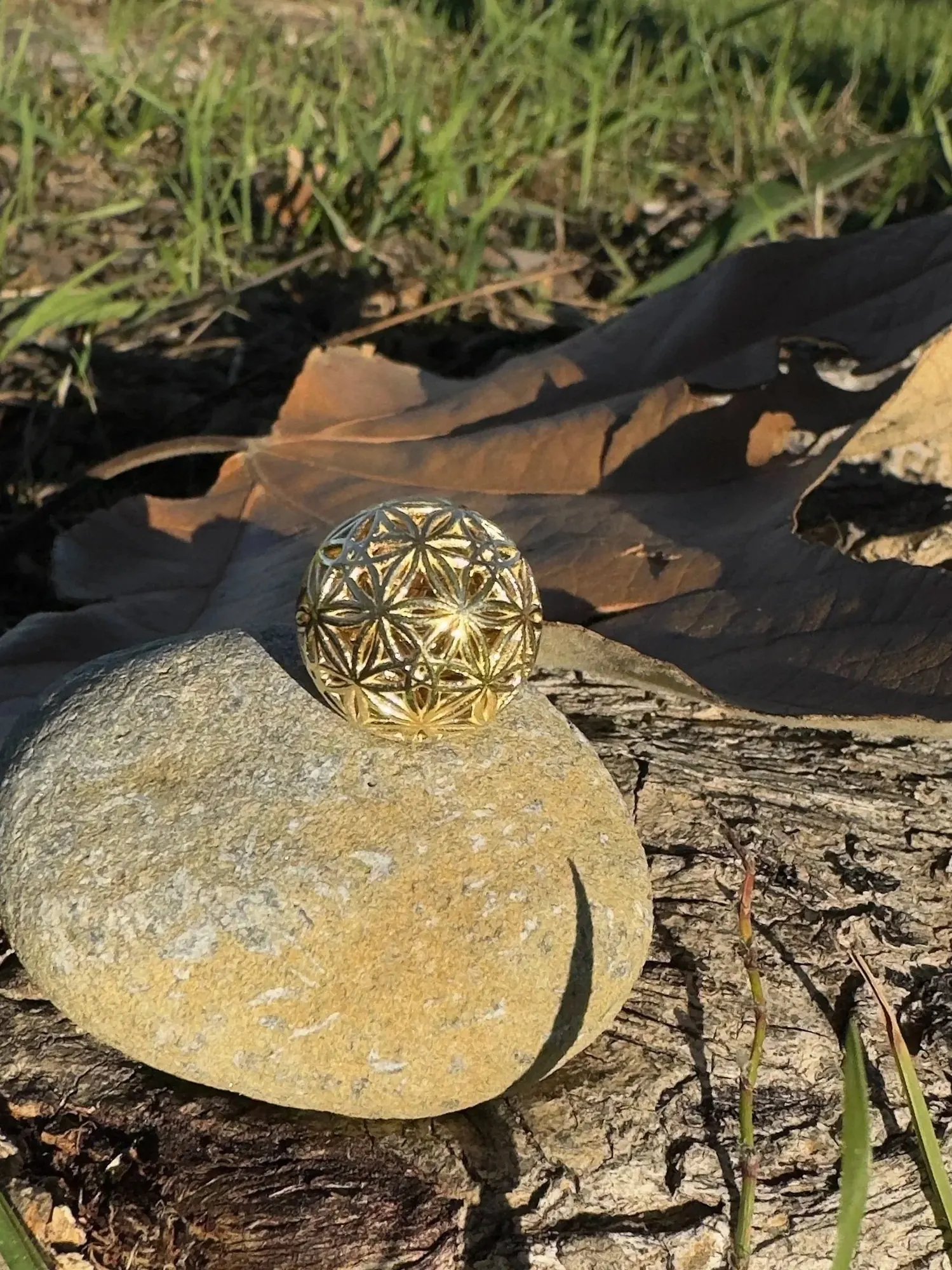 Flowers of Life Sphyr gold pendant on a stone beside a dry leaf