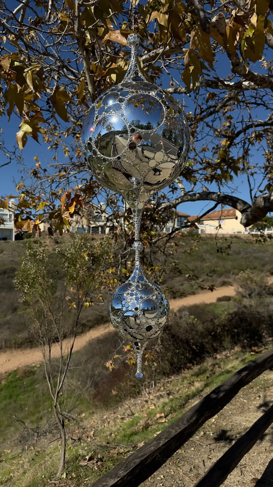 Teardrop DiscoSphyr hanging from a tree branch outdoors, its mirrored surface reflecting the hillside