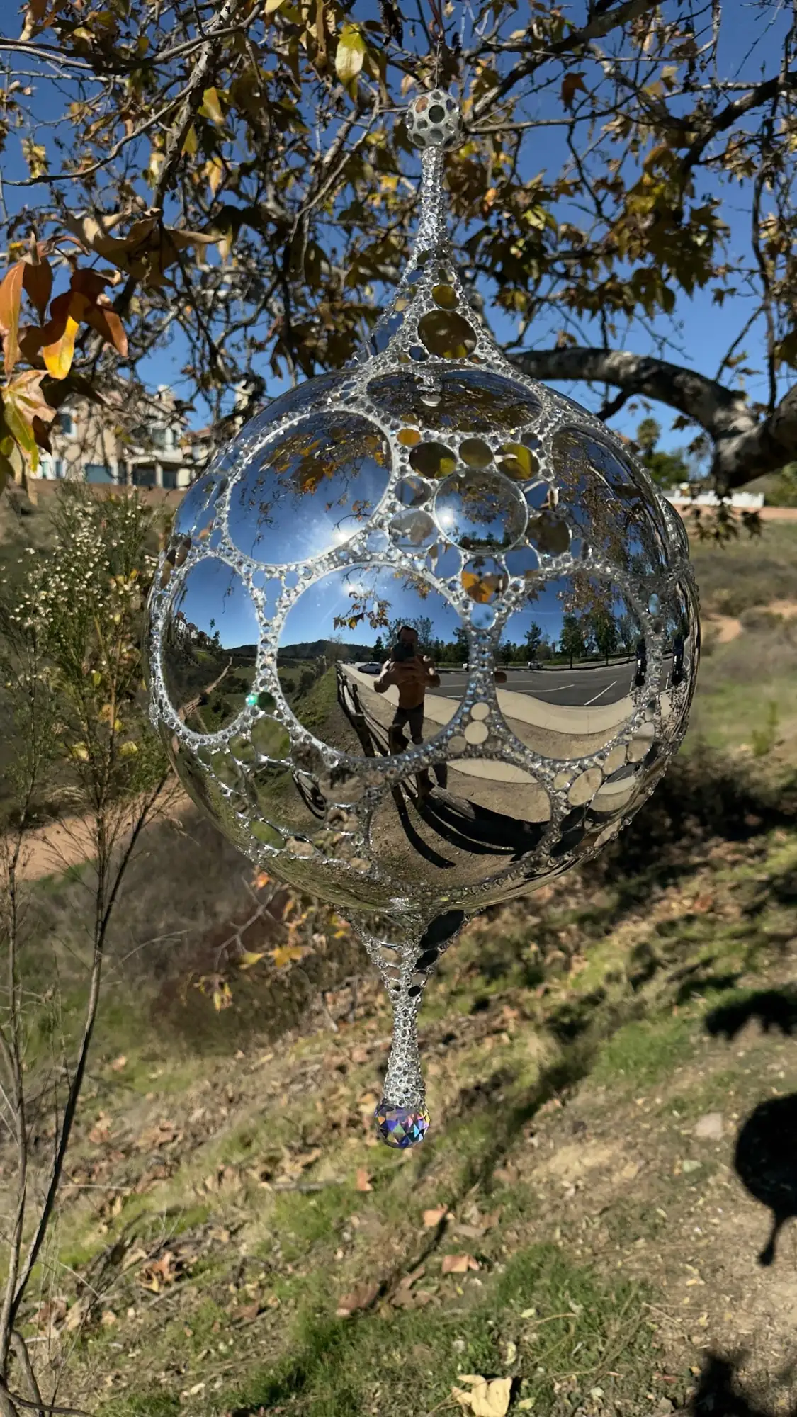 Galactic DiscoSphyr reflecting the surrounding hillside while hanging from a branch