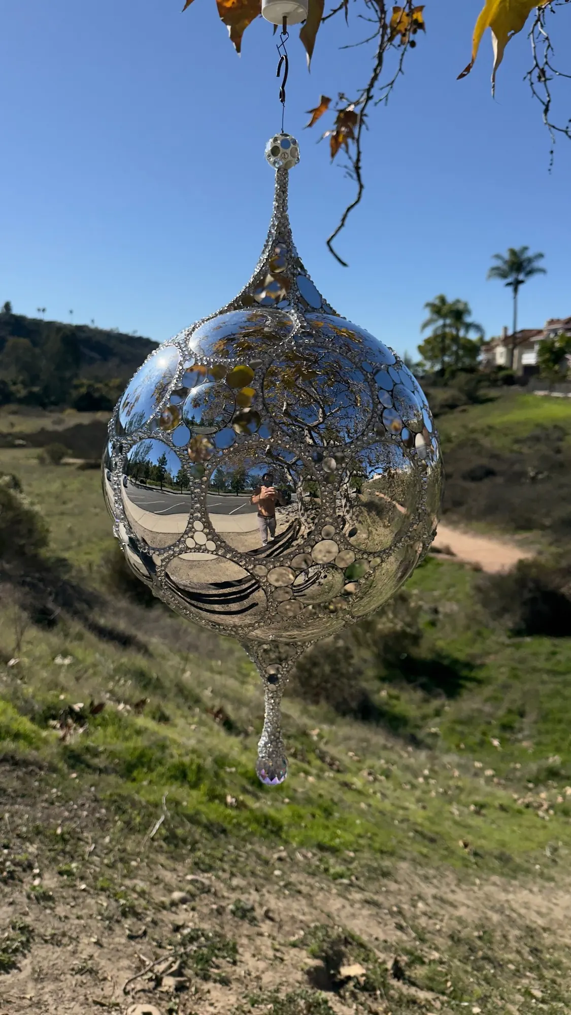 Galactic DiscoSphyr hanging outdoors with palm trees and a blue sky behind it